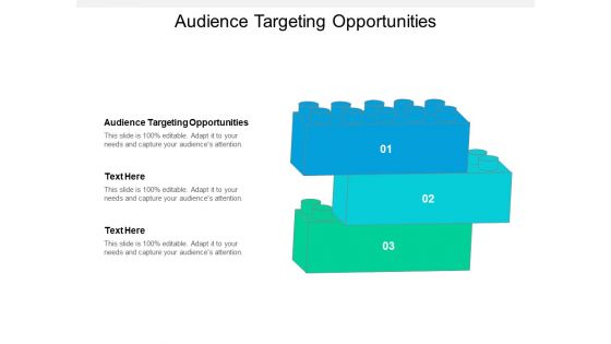 Audience Targeting Opportunities Ppt PowerPoint Presentation Styles Clipart Cpb