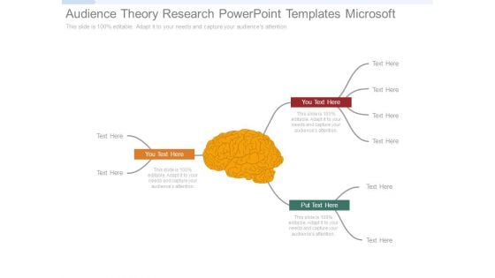 Audience Theory Research Powerpoint Templates Microsoft