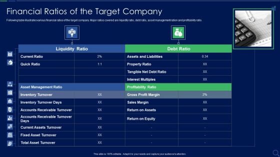 Audit Checklist For Mergers And Acquisitions Financial Ratios Of The Target Company Mockup PDF