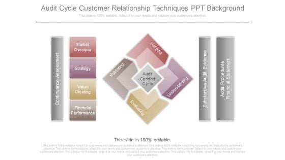 Audit Cycle Customer Relationship Techniques Ppt Background