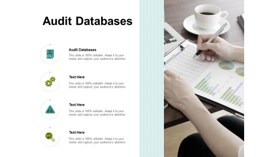 Audit Databases Ppt PowerPoint Presentation Show Samples Cpb Pdf