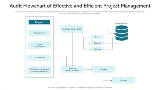 Audit Flowchart Of Effective And Efficient Project Management Ppt PowerPoint Presentation File Demonstration PDF