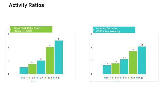 Audit For Financial Investment Activity Ratios Formats PDF