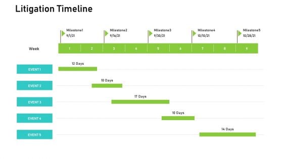 Audit For Financial Investment Litigation Timeline Template PDF