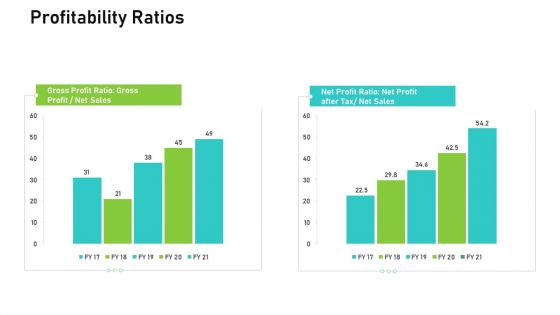 Audit For Financial Investment Profitability Ratios Portrait PDF