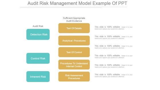 Audit Risk Management Model Ppt PowerPoint Presentation Tips