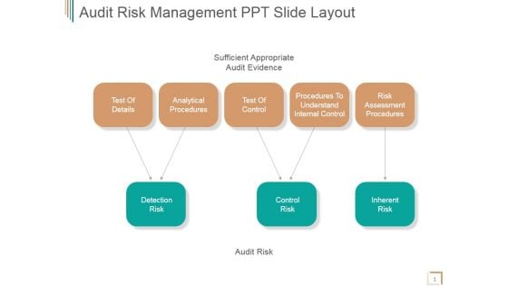 Audit Risk Management Ppt PowerPoint Presentation Slide