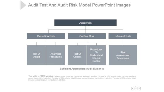 Audit Test And Audit Risk Model Ppt PowerPoint Presentation Template Audit Test And Audit Risk Model Ppt PowerPoint Presentation Template