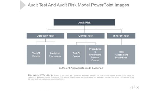 Audit Test And Audit Risk Model Ppt PowerPoint Presentation Template