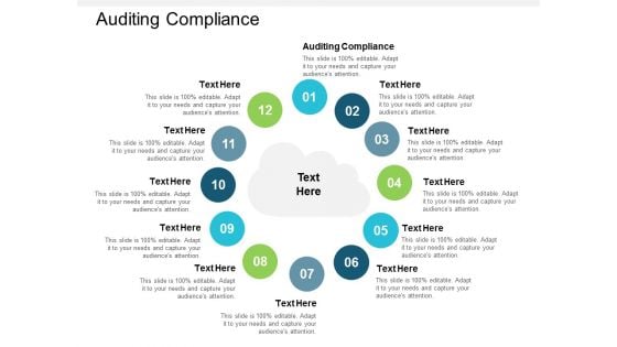 Auditing Compliance Ppt PowerPoint Presentation Summary Example Cpb