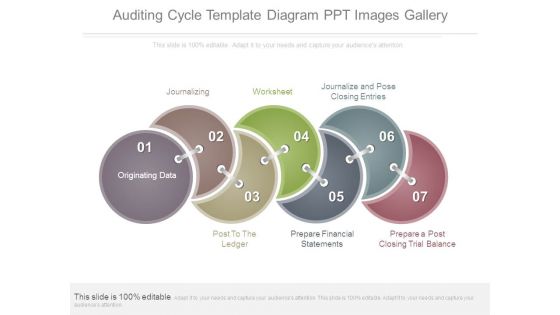 Auditing Cycle Template Diagram Ppt Images Gallery