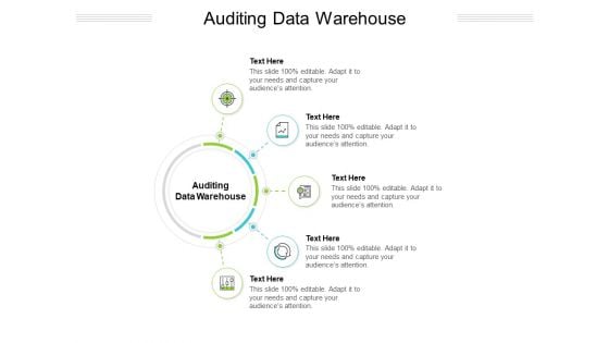 Auditing Data Warehouse Ppt PowerPoint Presentation Show Clipart Images Cpb Pdf