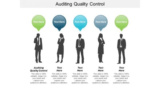 Auditing Quality Control Ppt PowerPoint Presentation Model Example Introduction Cpb