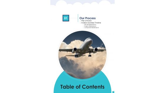 Aviation Services Management Table Of Contents Slide One Pager Sample Example Document