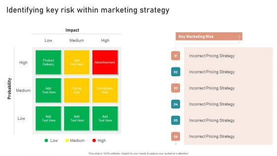 B2B And B2C Startups Marketing Mix Strategies Identifying Key Risk Within Marketing Strategy Download PDF