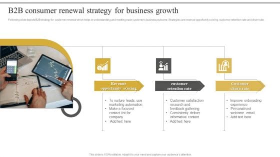 B2B Consumer Renewal Strategy For Business Growth Guidelines PDF