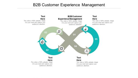 B2B Customer Experience Management Ppt PowerPoint Presentation Infographic Template Slides Cpb