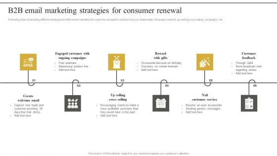 B2B Email Marketing Strategies For Consumer Renewal Information PDF