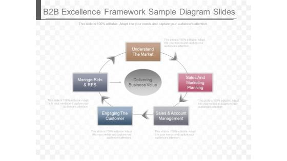 B2B Excellence Framework Sample Diagram Slides