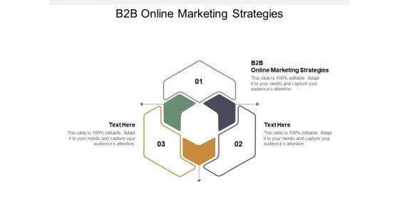 B2B Online Marketing Strategies Ppt PowerPoint Presentation Ideas Layouts Cpb