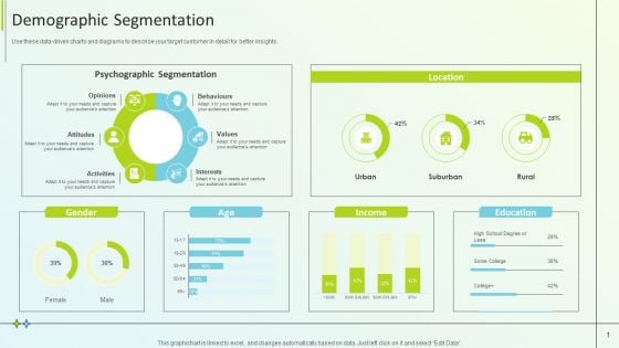 B2B Online Marketing Strategy Demographic Segmentation Designs PDF