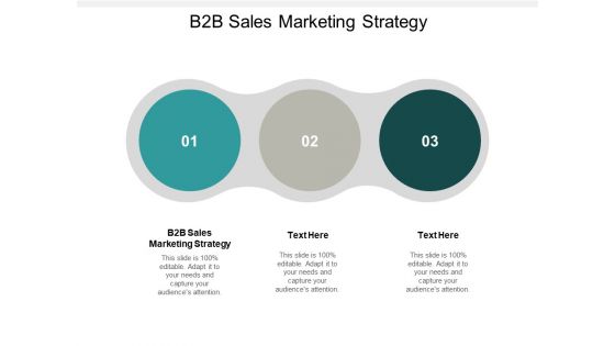 B2B Sales Marketing Strategy Ppt PowerPoint Presentation Infographics Portfolio Cpb
