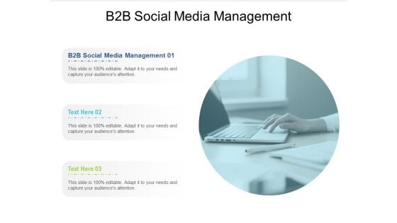 B2B Social Media Management Ppt PowerPoint Presentation Inspiration Themes Cpb