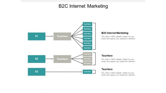 B2C Internet Marketing Ppt PowerPoint Presentation Inspiration Sample Cpb