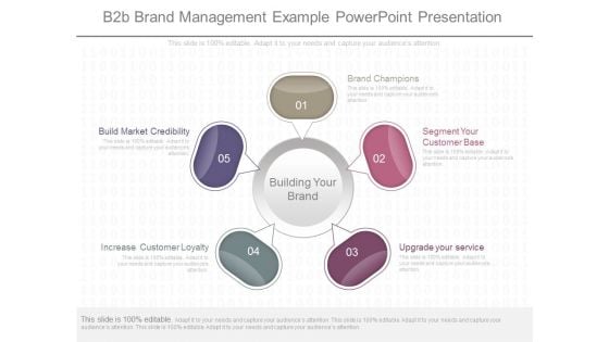 B2b Brand Management Example Powerpoint Presentation
