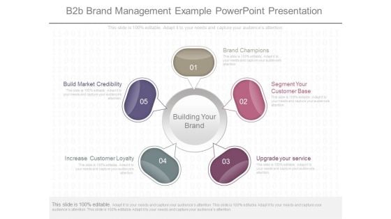 B2b Brand Management Example Powerpoint Presentation