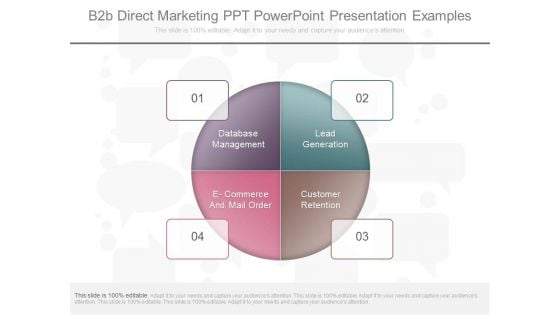 B2b Direct Marketing Ppt Powerpoint Presentation Examples