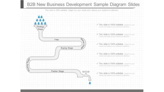 B2b New Business Development Sample Diagram Slides