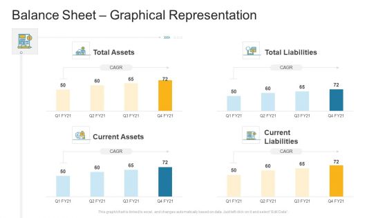 Balance Sheet Graphical Representation Company Profile Ppt Slides Show PDF