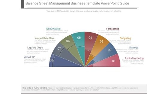 Balance Sheet Management Business Template Powerpoint Guide