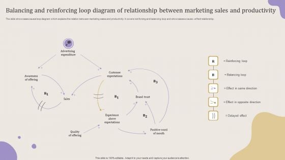 Balancing And Reinforcing Loop Diagram Of Relationship Between Marketing Sales And Productivity Portrait PDF