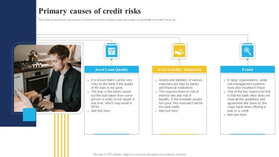 Bank And Finance Risk Management Tools And Methodologies Primary Causes Of Credit Risks Template PDF