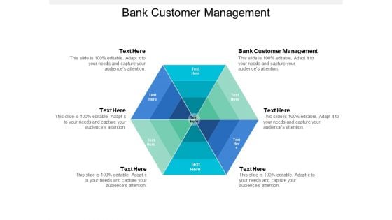 Bank Customer Management Ppt PowerPoint Presentation File Ideas Cpb