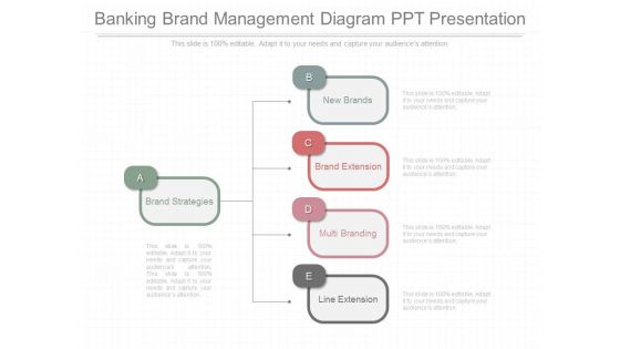 Banking Brand Management Diagram Ppt Presentation