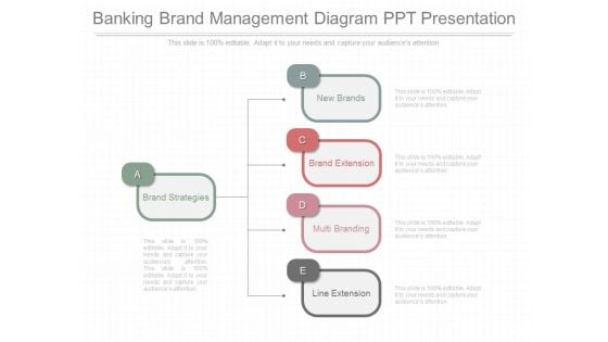 Banking Brand Management Diagram Ppt Presentation Banking Brand Management Diagram Ppt Presentation