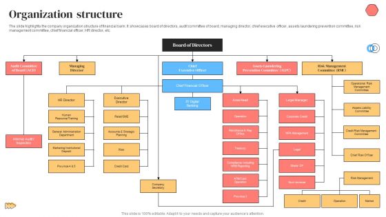 Banking Solutions Company Overview Organization Structure Diagrams PDF