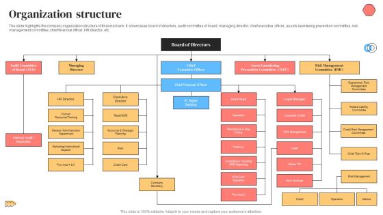 Banking Solutions Company Overview Organization Structure Diagrams PDF