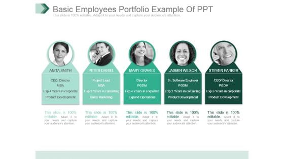 Basic Employees Portfolio Example Of Ppt