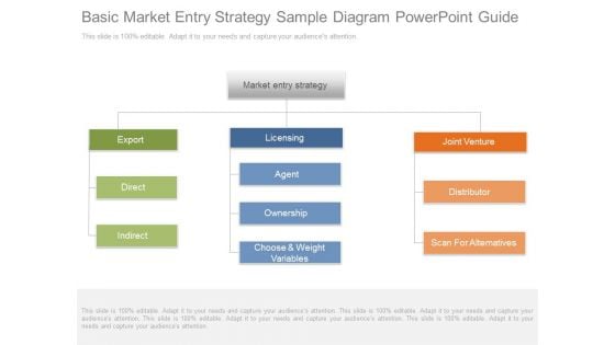 Basic Market Entry Strategy Sample Diagram Powerpoint Guide