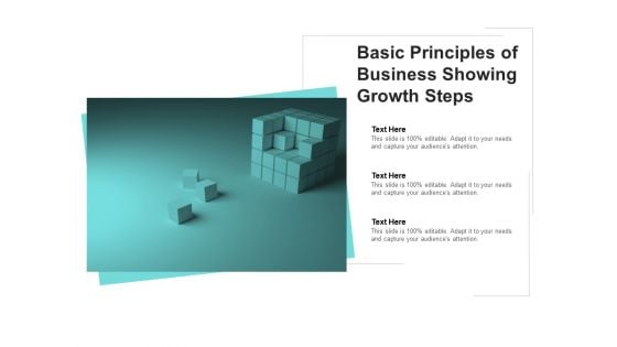 Basic Principles Of Business Showing Growth Steps Ppt PowerPoint Presentation Gallery Example