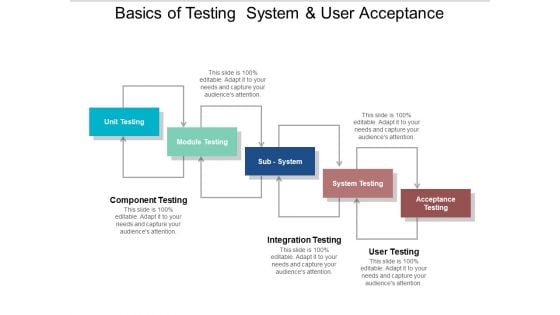 Basics Of Testing System And User Acceptance Ppt PowerPoint Presentation Layouts Design Ideas
