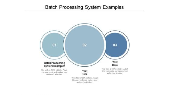 Batch Processing System Examples Ppt PowerPoint Presentation Pictures Graphics Tutorials