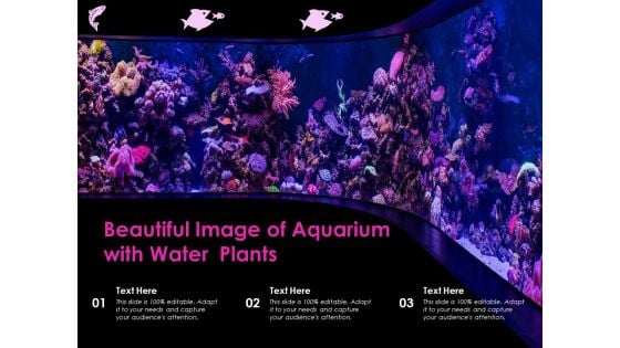 Beautiful Image Of Aquarium With Water Plants Ppt PowerPoint Presentation Gallery Grid PDF