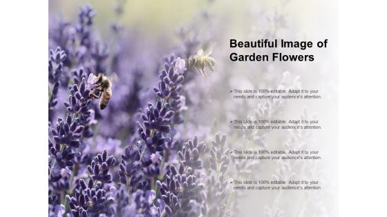 Beautiful Image Of Garden Flowers Ppt PowerPoint Presentation File Skills
