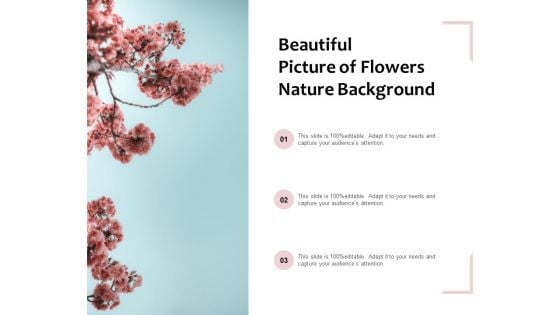 Beautiful Picture Of Flowers Nature Background Ppt PowerPoint Presentation Infographic Template Backgrounds