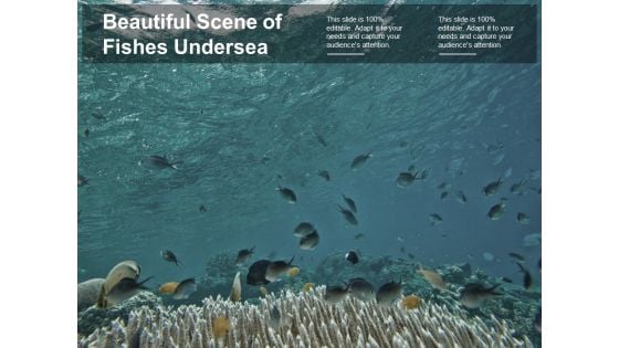 Beautiful Scene Of Fishes Undersea Ppt PowerPoint Presentation Portfolio Objects